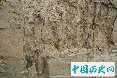 云南晋宁河泊所遗址发掘概况