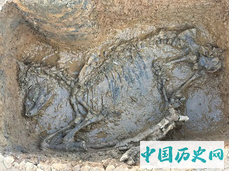 云南晋宁河泊所遗址发掘概况