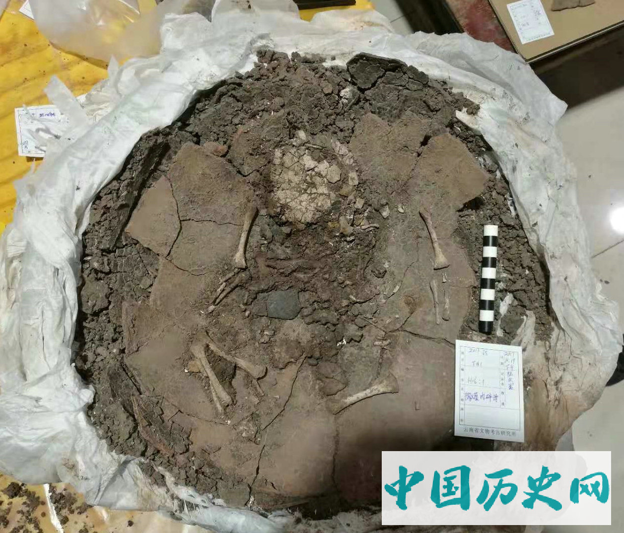 云南晋宁河泊所遗址发掘概况