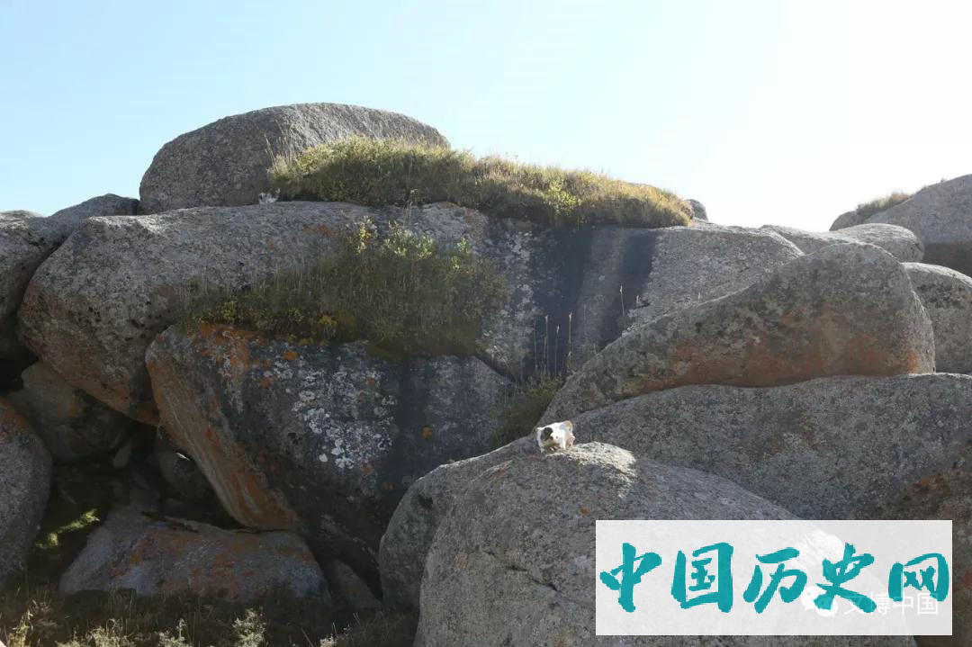 青藏高原首次发现史前彩绘手印岩画