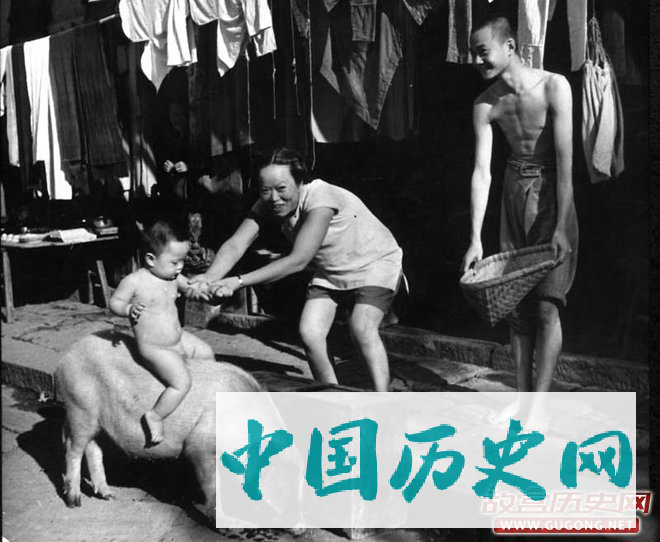 1941年，四川，骑猪的儿童（Carl Mydans拍摄）