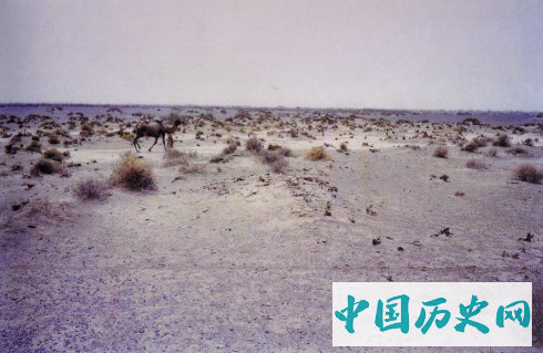 探秘沙尘暴发源地