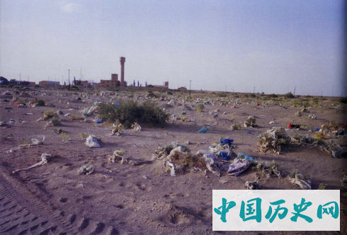 探秘沙尘暴发源地