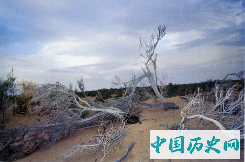 探秘沙尘暴发源地