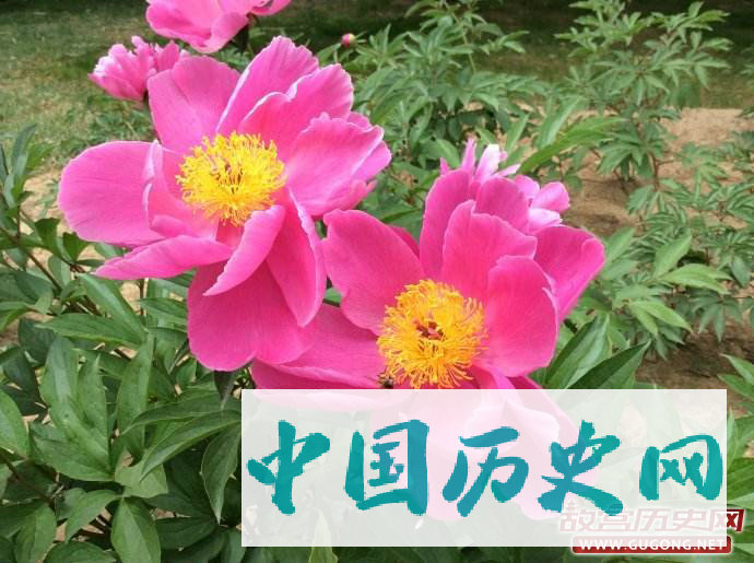 神奇的“12”——皇清12帝与永陵12峰