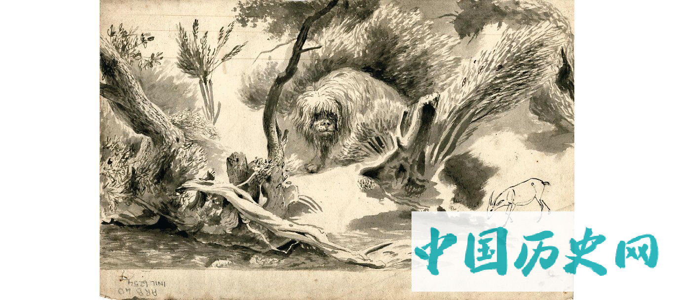 470：十八世纪初期荷兰东印度公司船员绘制的素描图，上面全是神秘生物