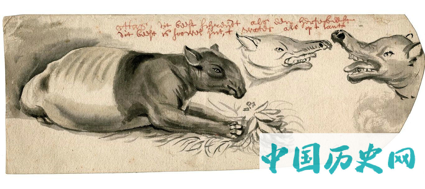 470：十八世纪初期荷兰东印度公司船员绘制的素描图，上面全是神秘生物