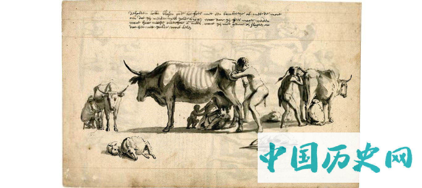 470：十八世纪初期荷兰东印度公司船员绘制的素描图，上面全是神秘生物