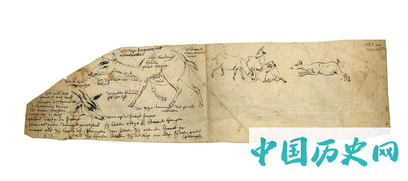 470：十八世纪初期荷兰东印度公司船员绘制的素描图，上面全是神秘生物