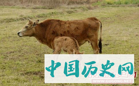 中国民间祭祀牛神的由来故事