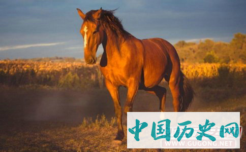 搜神记之河出妖马