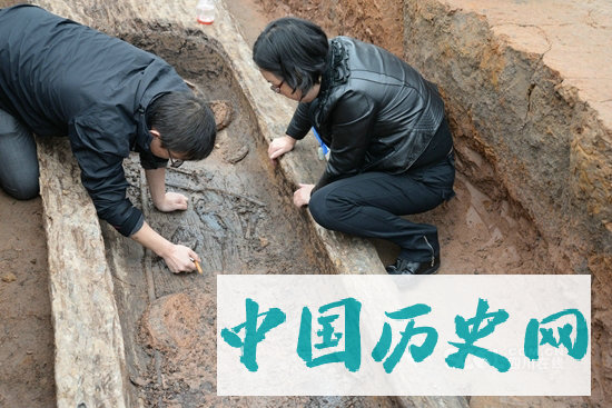 四川蒲江发现60座战国船棺墓