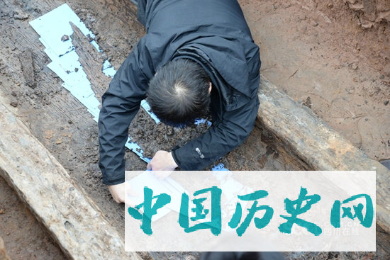 四川蒲江发现60座战国船棺墓