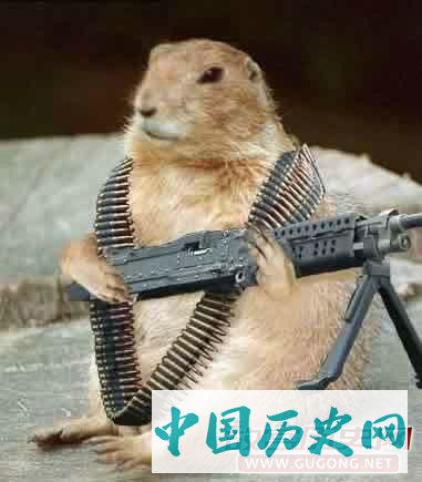 五胡十六国的脉络关系