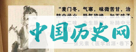 金朝中医张元素