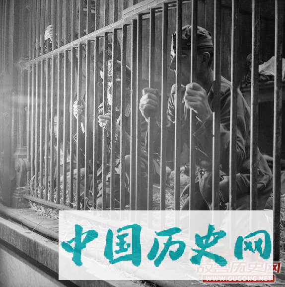 二战猛如虎的德军被关狮笼