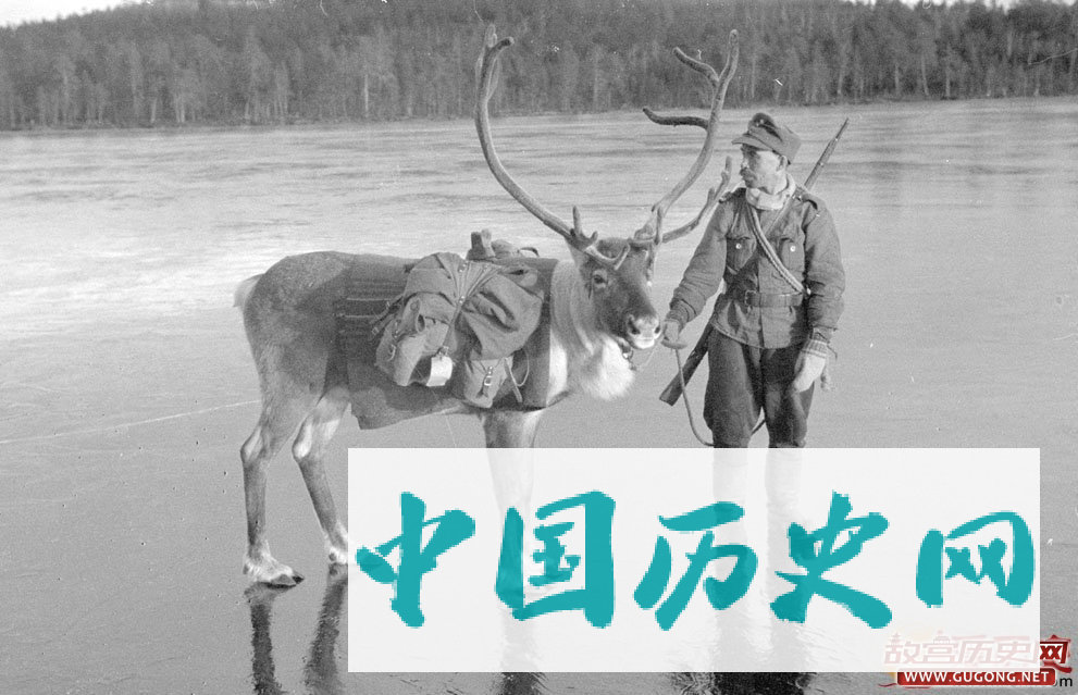 二战时期的芬兰状态：从前线到大后方全国备战