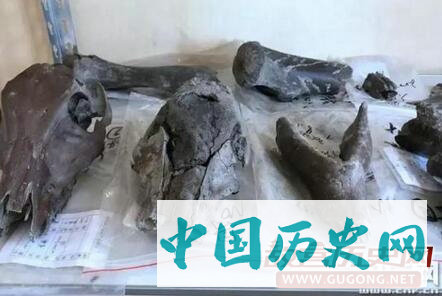 浙江宁波奉化发现距今5800年史前文化遗址