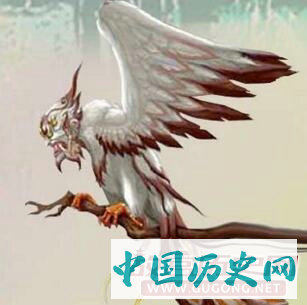 后羿智搏猛禽“大风”