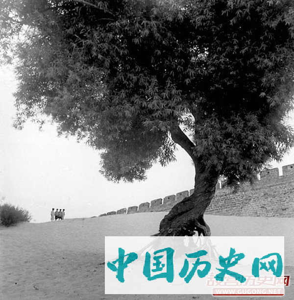 威海老照片：1937年的山东威海