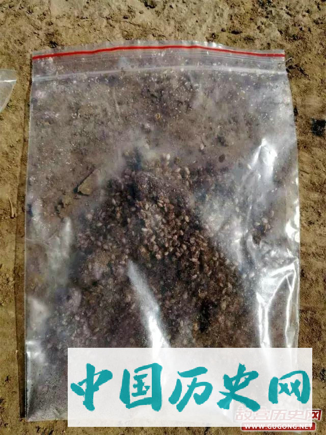 内蒙古赤峰高家台子遗址的考古发掘取得初步成果