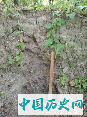 湖南澧水下游地区早期矿冶遗址调查收获颇丰