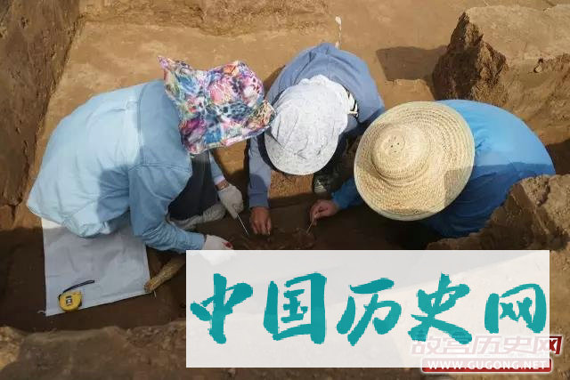 首都师范大学临淄东古村北遗址田野考古工作圆满结束