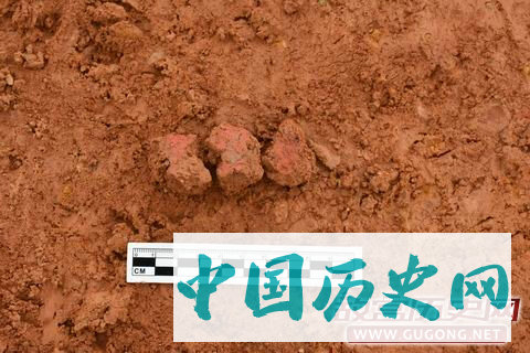 湖南蓝山五里坪古墓群考古发掘再获新成果