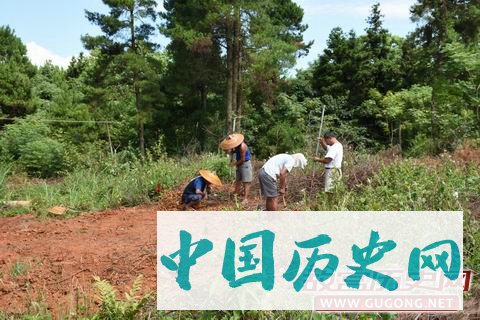 湖南蓝山五里坪古墓群考古发掘再获新成果