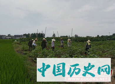 湖北汉十城际铁路考古发掘取得了阶段性成果