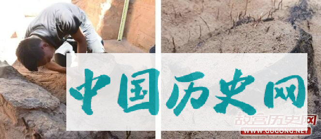 河南省文物考古研究院赴蒙古国考古项目工作圆满结束