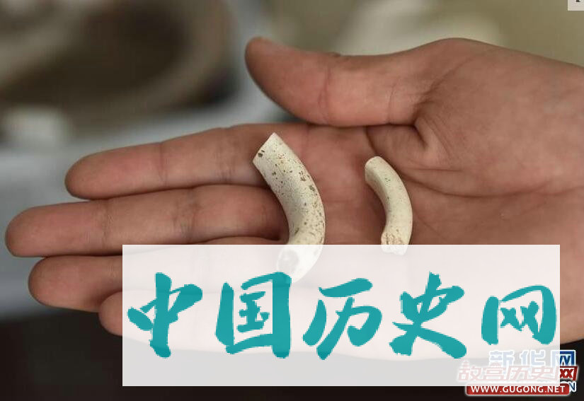 河南鹤壁再次考古发掘刘庄遗址