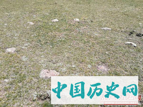 “天山道”科考解密：巴音布鲁克草原上奇怪的“8”块石头
