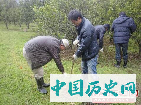 湖南保靖县四方城遗址与墓群进行调查勘探