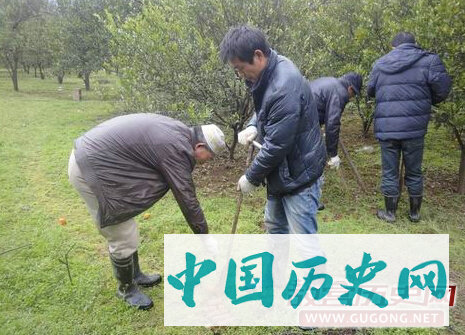 湖南保靖县四方城遗址与墓群调查勘探收获