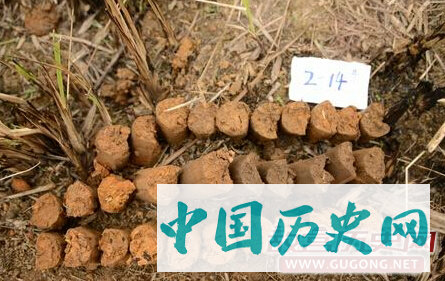 湖南保靖县四方城遗址与墓群调查勘探收获