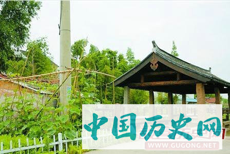 上海金山朱泾镇考古发现一古船舫遗址