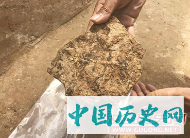 江苏金坛发掘8座春秋土墩墓 已出土文物近千件