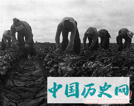 1929美国经济危机简介
