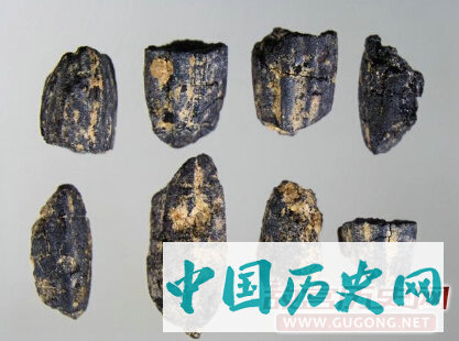 闽侯洋里乡一史前遗址发现福建省迄今最早的水稻颗粒