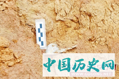 河南三门峡发现距今约100万年石制品
