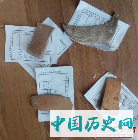 浙江德清县龙胜东坡岭战国土坑墓清理结束