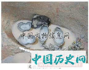 揭历史疑云 辟工作新法——四川彭山江口沉银遗址水下考古阶段性工作成果丰硕