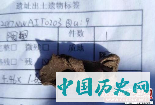 吉林长春发现新石器时代遗存 填补松花江流域人类历史空白