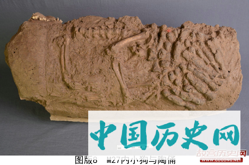 陕西发现汉代宠物狗墓葬 长眠陶管内有小陶俑陪葬