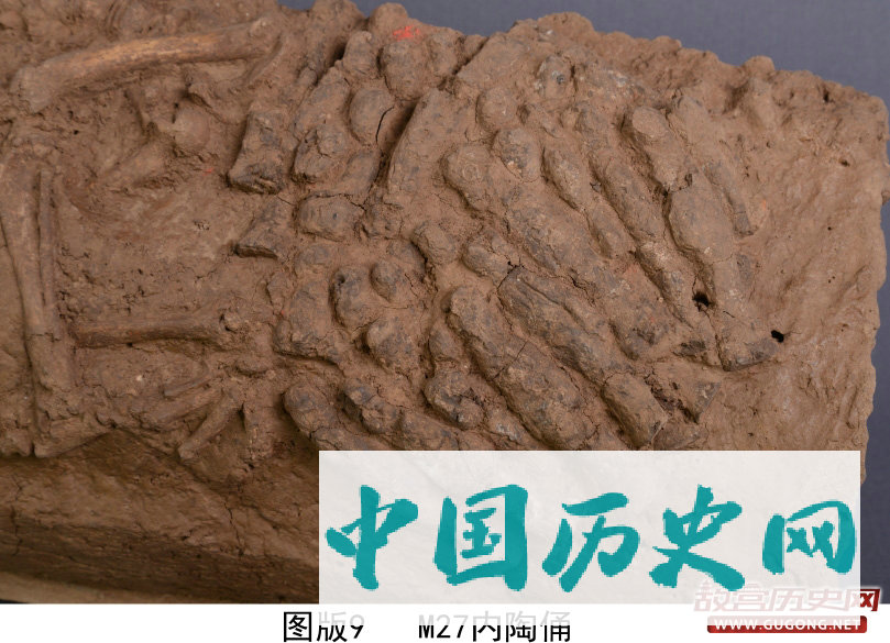 陕西发现汉代宠物狗墓葬 长眠陶管内有小陶俑陪葬