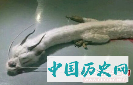 澹台子羽斩双蛟的传说