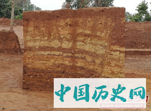 云南晋宁金砂山墓地190号墓发掘情况简介