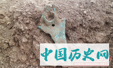 云南晋宁金砂山墓地190号墓发掘情况简介