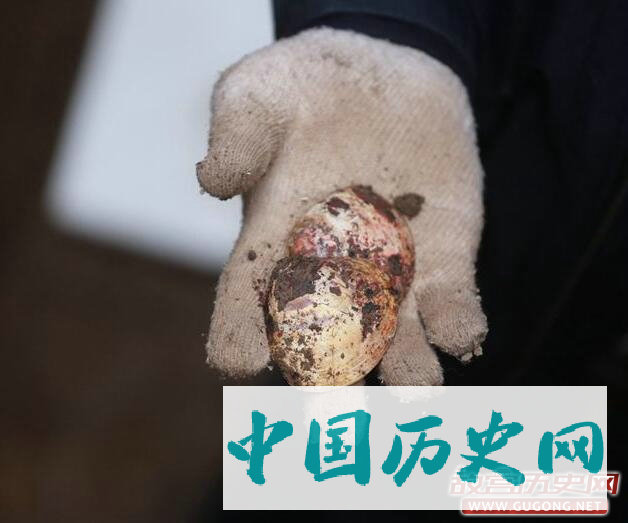 河南发掘一战国武将墓 出土青铜剑戈